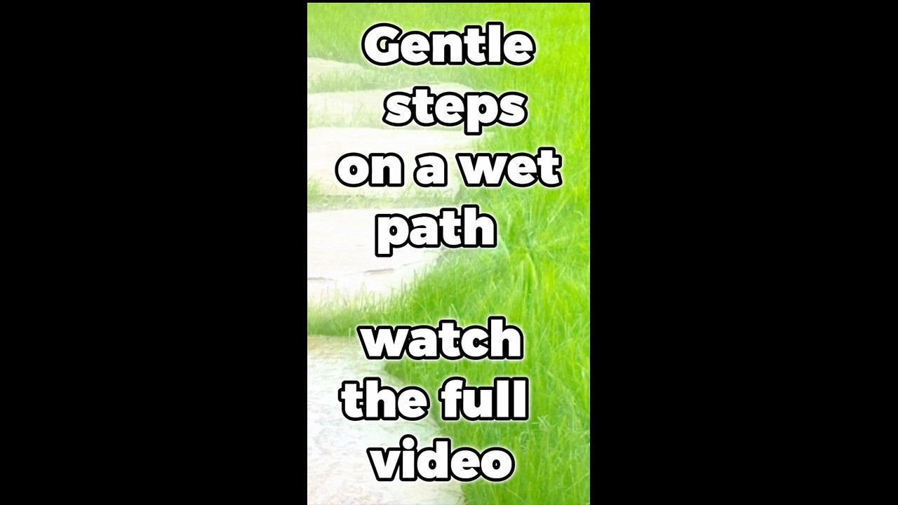 Walking Through Rain and Grass / feel releax