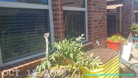 52 Sundays! Still Summer Temps in October . . .