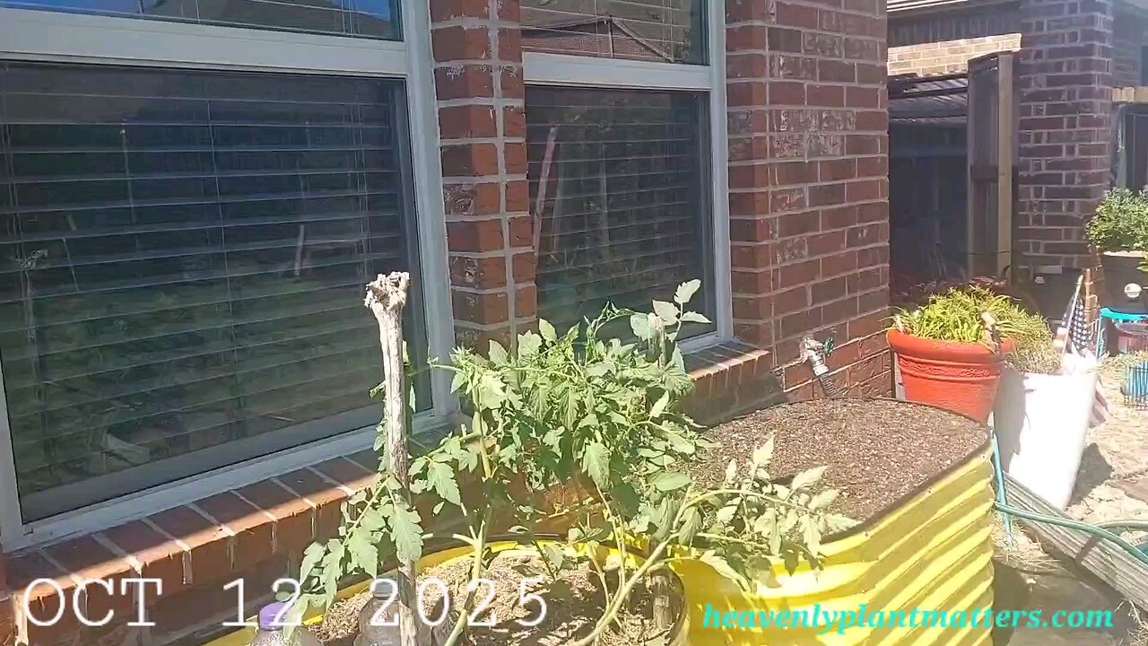 52 Sundays! Still Summer Temps in October . . .