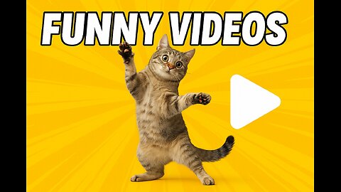 🌕🐾 Full Moon Vibes: Hilarious Cat Goes Wild Under Moonlight!