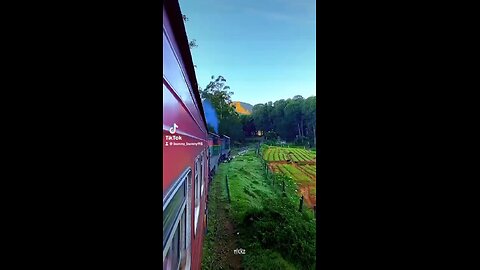 Ella train trip