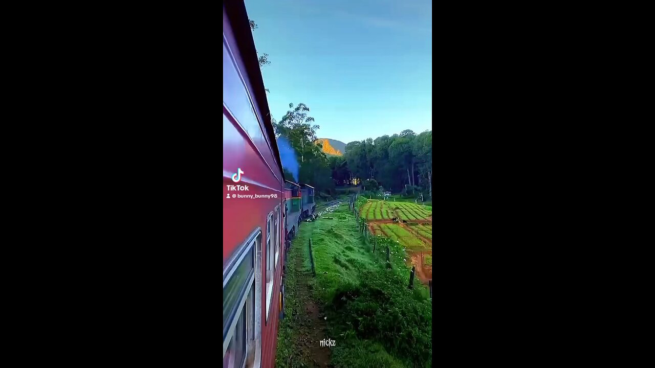 Ella train trip