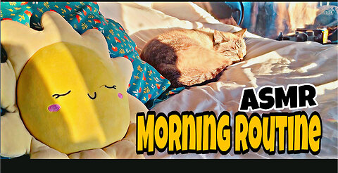 2023 winter in Phoenix Arizona with friends- a morning routine in my bus