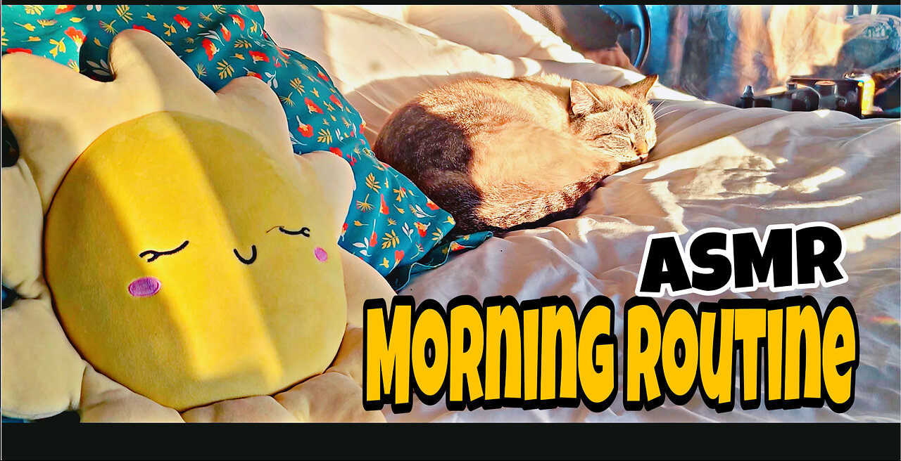 2023 winter in Phoenix Arizona with friends- a morning routine in my bus