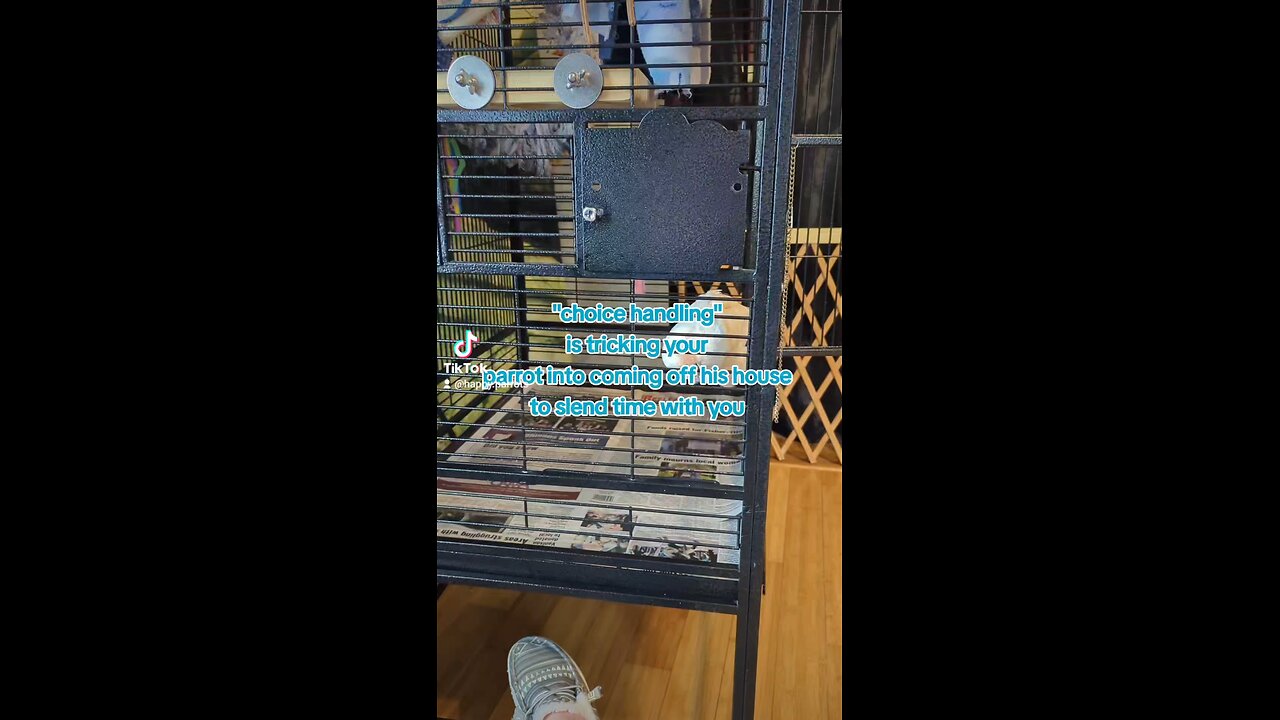 Choice Handling