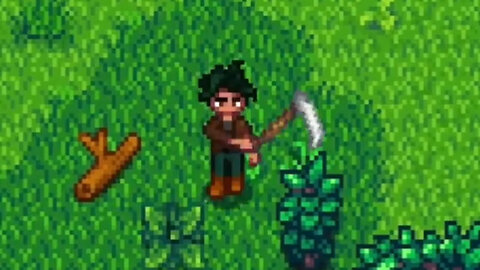 Clearing Cindersap Forest 🧹