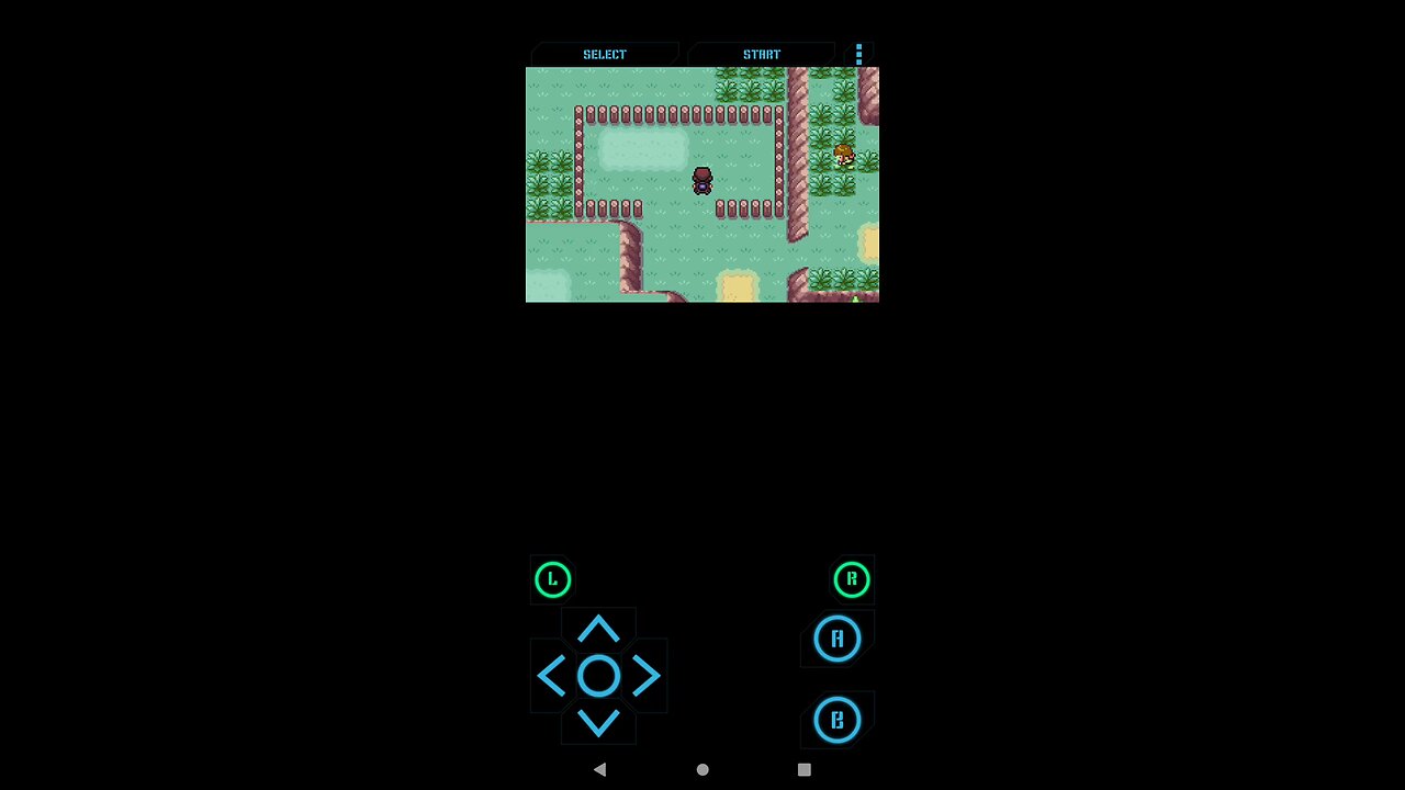 Pokémon Dreams part 3 | Getting the first badge