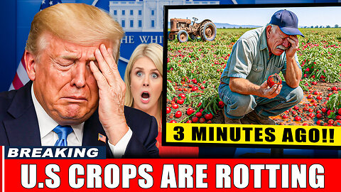 U.S. Farmers in Tears: 7 Crops Rotting in the Fields – Is American Agriculture Getting Worse?