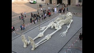 The Hidden Bones of Giants and Nephilim - What Does the Smithsonian Hide in Its Vaults