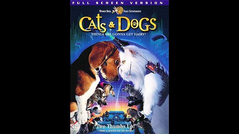 Cats and dogs have a range of interactions.