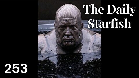 The Daily Starfish #253