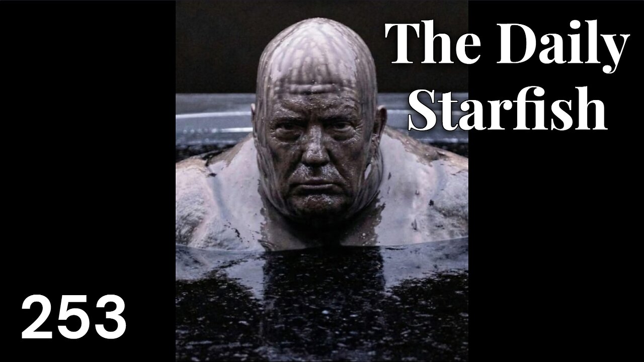 The Daily Starfish #253