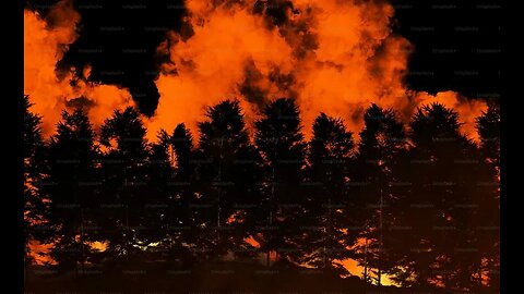 Chat with Peyman Askari: Nova Scotia's Forest ban.