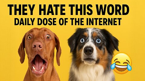They Hate This Word - Daly Does of The Internet