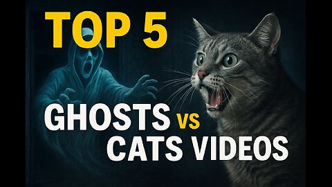 Top 5 Ghosts vs Cats Videos