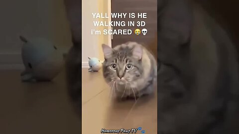 Funny animals 2024😂- Funniest Cats and Dogs Video😹🐶 #29