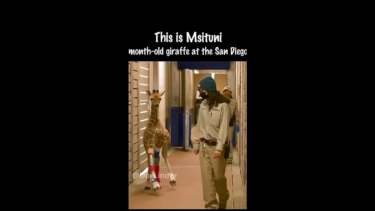 Meet Msituni & Watch Her Incredible Healing Journey