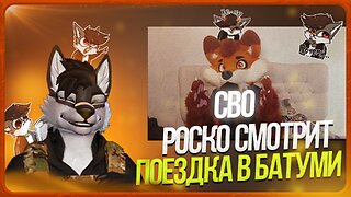 🐺 Роско смотрит Mr. Fox — о поездке в Батуми 🇬🇪