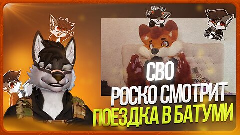 🐺 Роско смотрит Mr. Fox — о поездке в Батуми 🇬🇪
