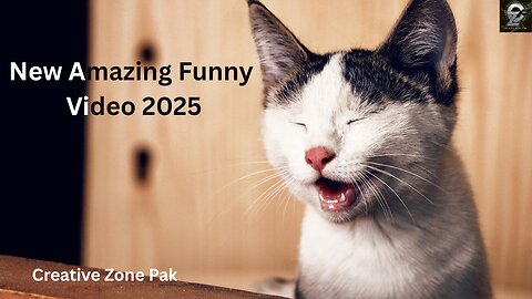 New Amazing Funny Video 2025