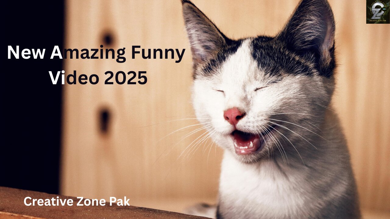 New Amazing Funny Video 2025