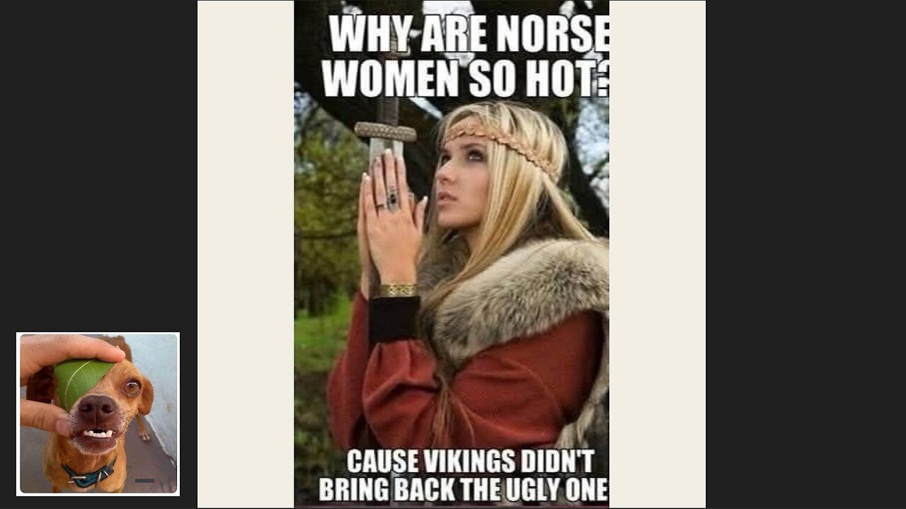 Memes That Will 99.0191% Make You Laugh. (e415)