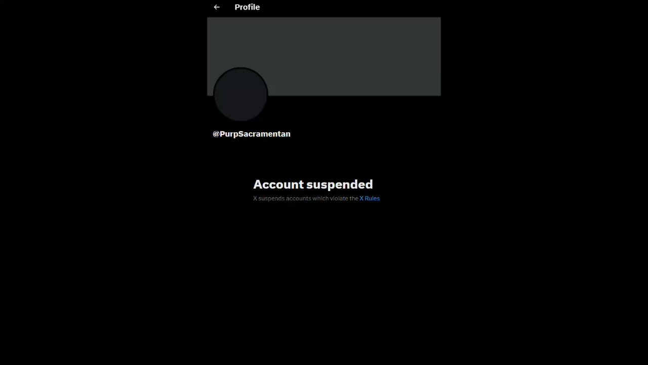 I Got Suspended From Twitter