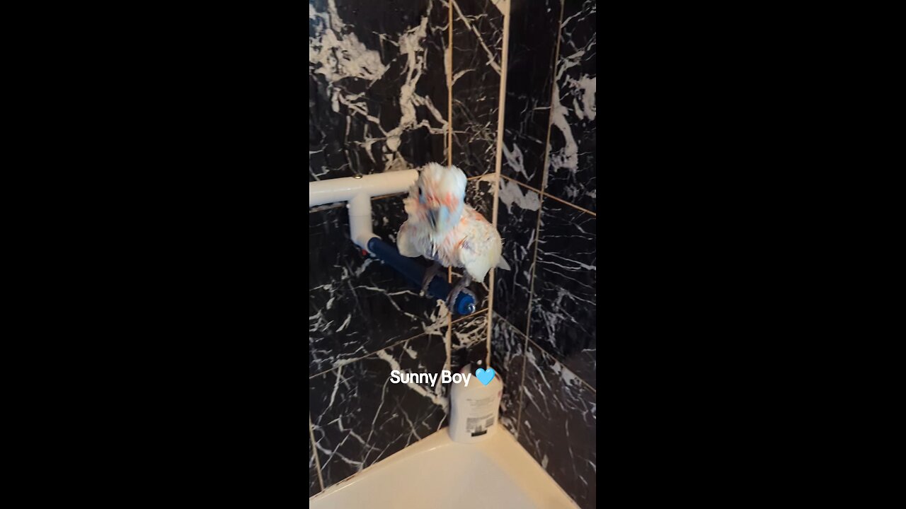Happy About His Bath