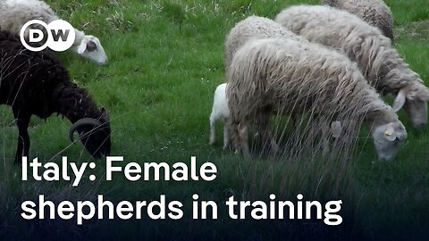 How an Italian shepherd school creates opportunities for women in the countryside | Focus on Europe