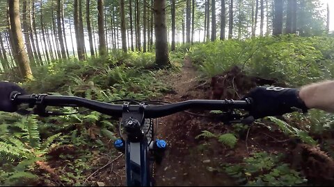2 1/2 - Galbraith Mountain - Bellingham - Washington