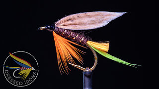 Tying the Hudson Wet Fly- Dressed Irons