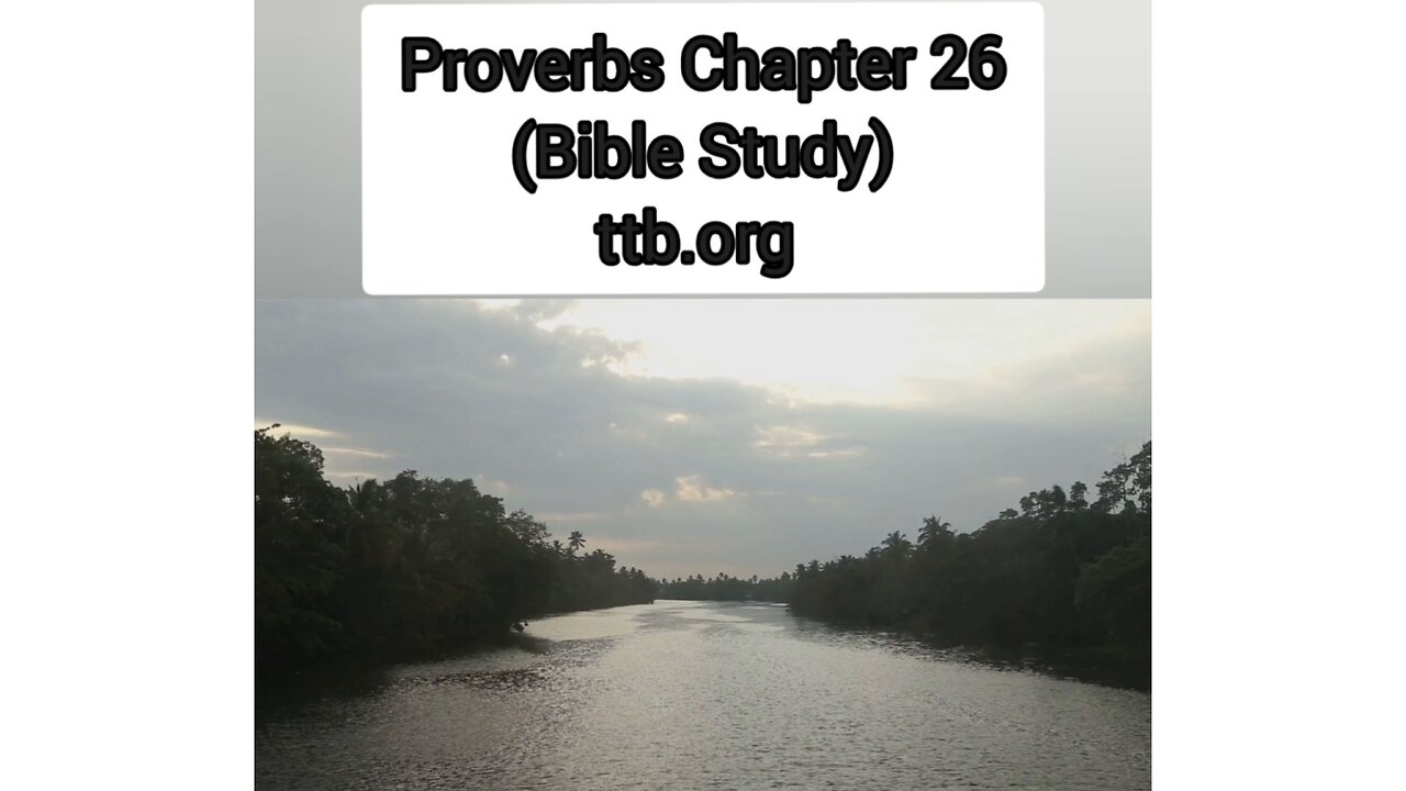 Proverbs Chapter 26 (Bible Study)