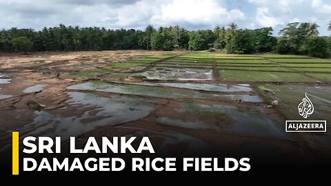 Sri Lanka flooding: 106,000 hectares of rice paddy fields damaged