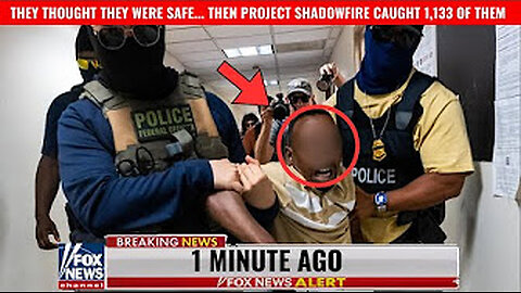 1133 gang members arrested!