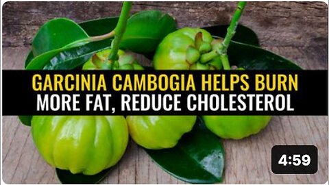 Garcinia Cambogia Aids in Fat Burning and Cholesterol Reduction