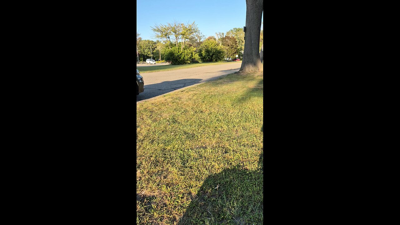 starting to roll