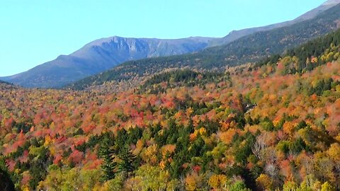 Fall Foliage