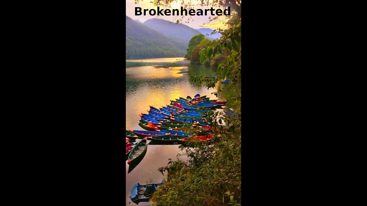 Dylan 🐬 484 ~ Brokenhearted