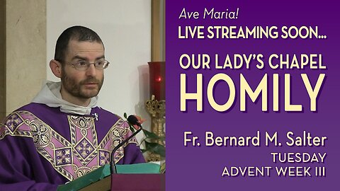 Tuesday of the Third Week of Advent - December 16, 2025 - OLC HOMILY