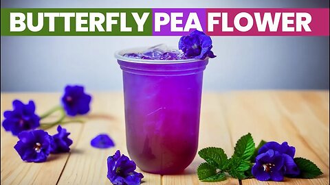 Butterfly Pea Flower A Natural Brain Booster & Antioxidant Powerhouse