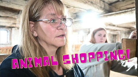 YOU Won't BELIEVE What ANIMAL We Are SHOPPING For Now!