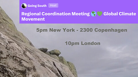 Regional Coordination Meeting 🌎💚 Global Climate Movement