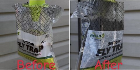 Retaking Fly-Infested Neighborhood with Rescue! Outdoor Fly Trap: Part 1- The First 20,000 Flies