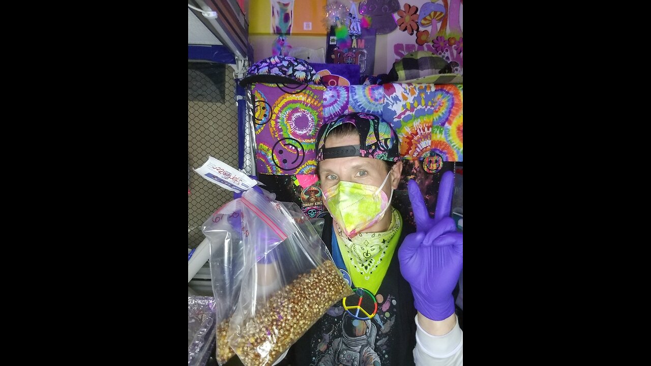 Mycology Mondays #109 Double Ziploc Tek 🌾 Inoculations 🧬