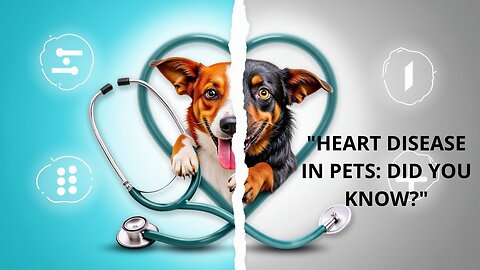 Most Common Heart Diseases in Pets: What You Need to Know.