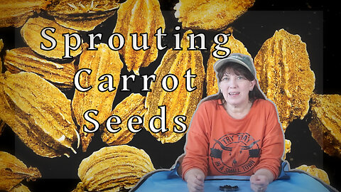 Carrot Seed Pre-Sprouting Experiment: Appalachian Homestead Challenge!