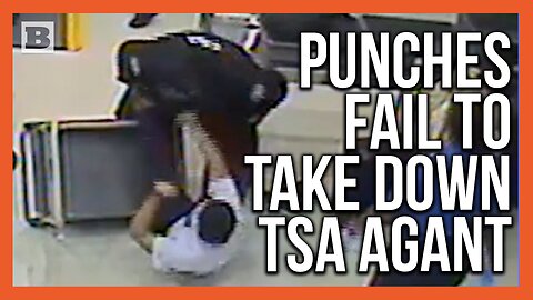 Canadian Traveler Punches Miami TSA Agents, Gets Tackled