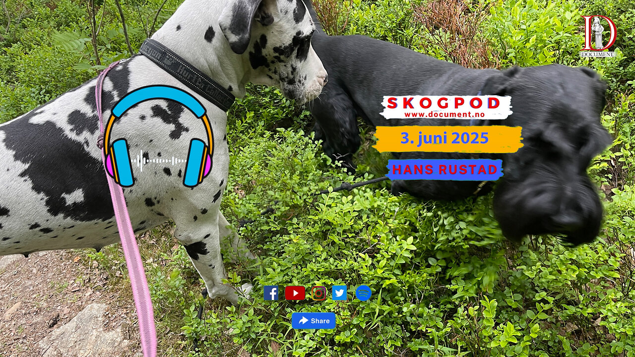 Skogpod 3. juni 2025