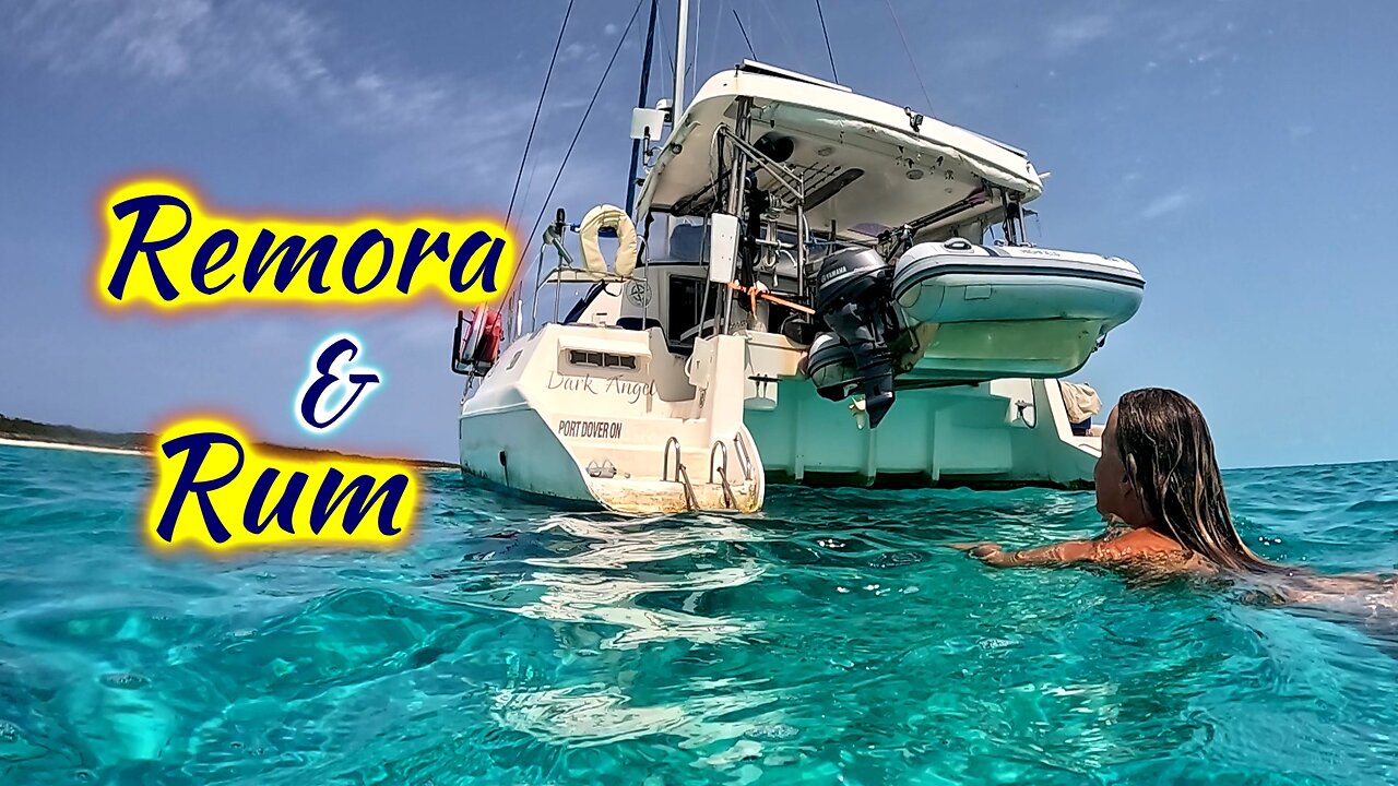 SDA212 Repairs, Remoras & Raising a Toast