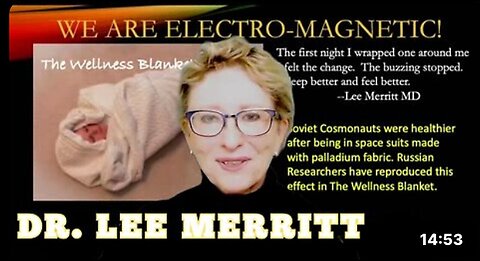 "Dr. Lee Merritt: Exposing Big Pharma's Propaganda War Against Vitamin D"